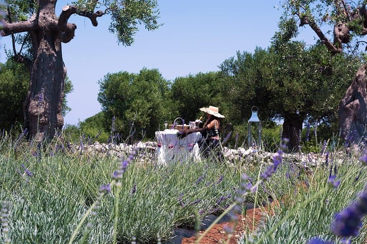 Private Olive Oil Tasting in Polignano a Mare