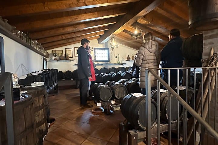 Taste Tour: Parmigiano Reggiano, Balsamic Vinegar and Lunch