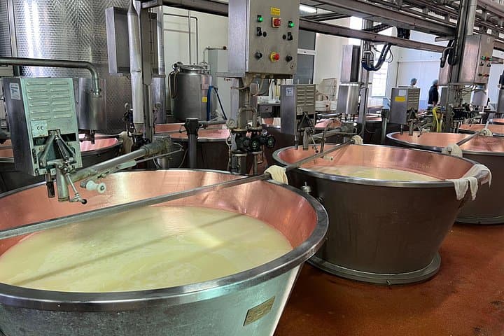 Taste Tour: Parmigiano Reggiano, Balsamic Vinegar and Lunch