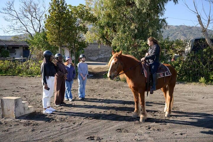 Scenic Horseback Ride, Wine Tasting & Lunch on Mt. Vesuvius