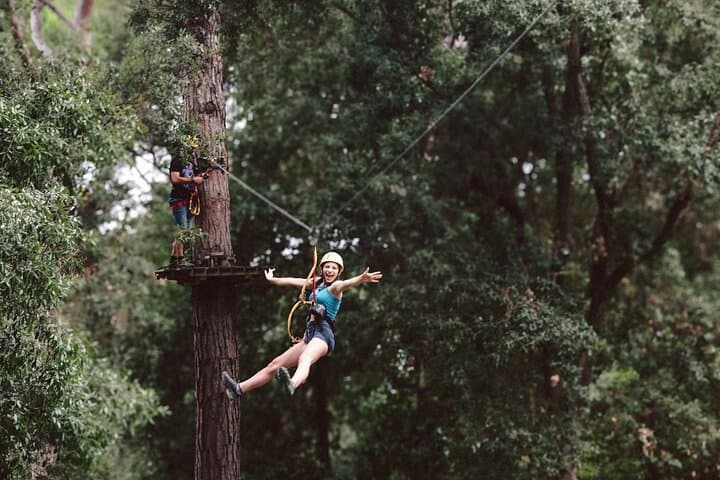 Adventure Park Il Pineto