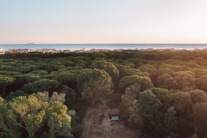 Adventure Park Il Pineto