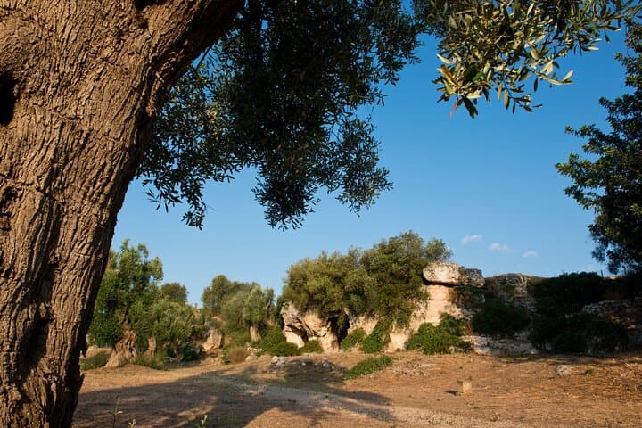 Park of Lama d'Antico