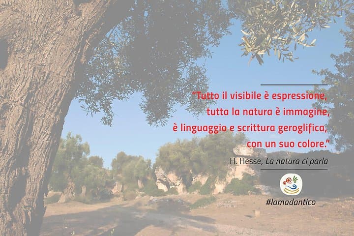 Guided tour of Parco Lama D'Antico-Grotta di S. Lorenzo in Fasano