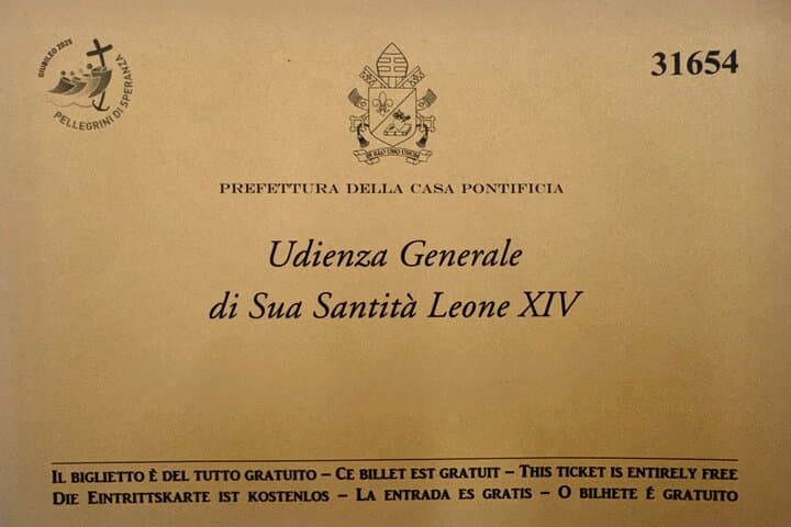 Papal Audience Tour With Reserved Entrance