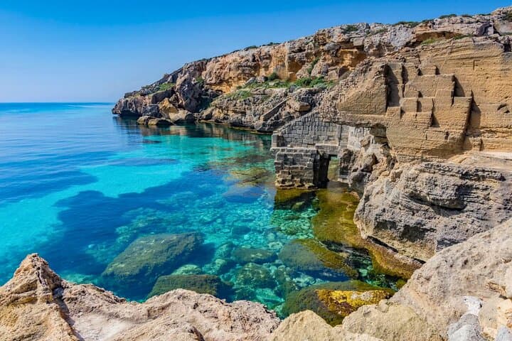 Sea ox
