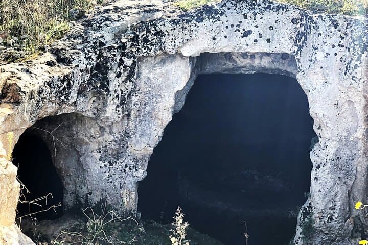 Olive Oil Tour and Tasting Experience in Ostuni