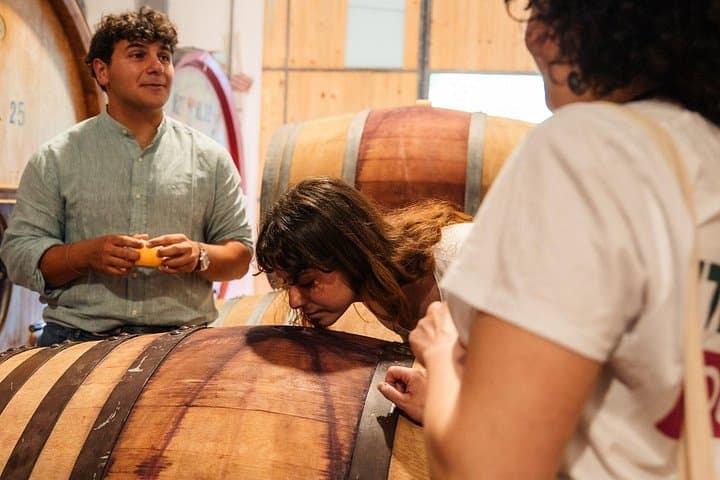 Rome to Florence & Tuscany by High-Speed Train & Winery Tasting