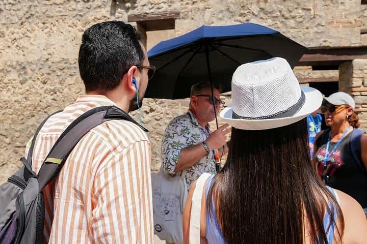 Pompeii Express : Guided tour from Naples by train included