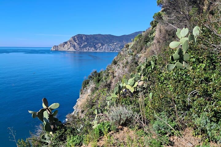 Lemon tour in Vernazza with tasting of our limoncino and wine