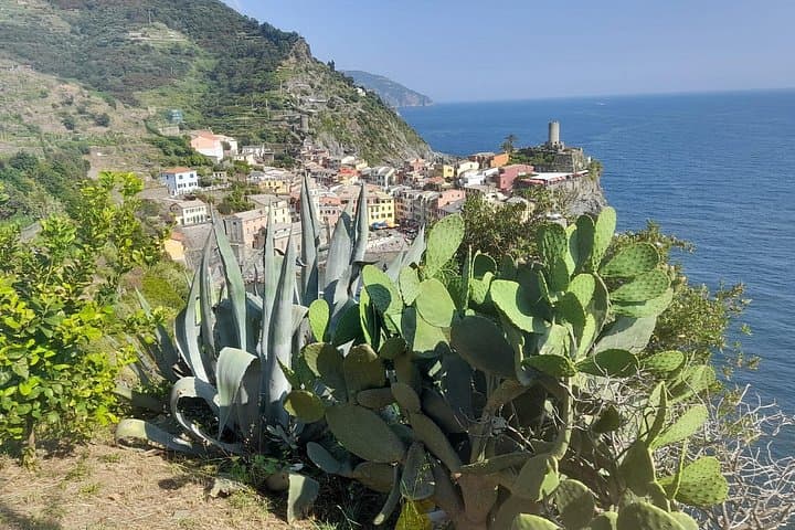 Lemon tour in Vernazza with tasting of our limoncino and wine