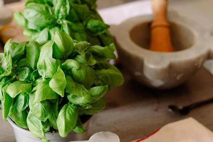 Cooking Class of Ligurian cuisine between Portofino and the Cinque Terre