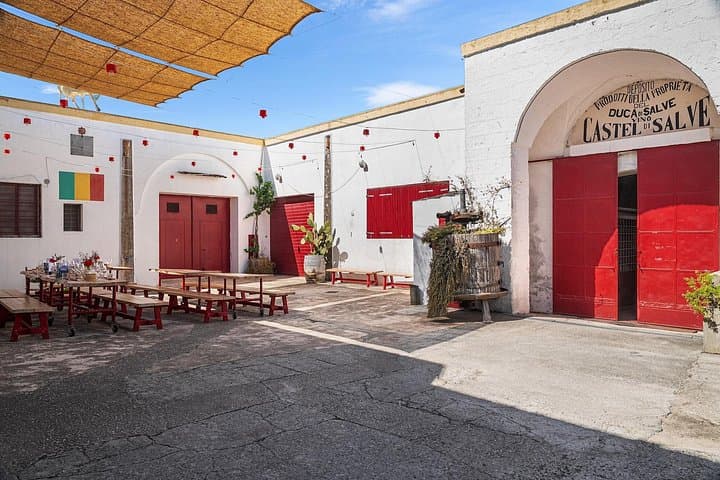 Historical Cellar Visit and Wine Tasting in Salento