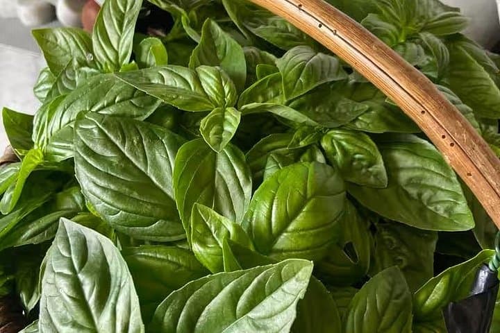 Cinque Terre: Pesto Class with Focaccia Tasting in Manarola