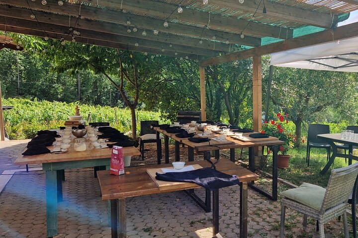 Cooking Class on a Family Farm in Chianti with Lunch