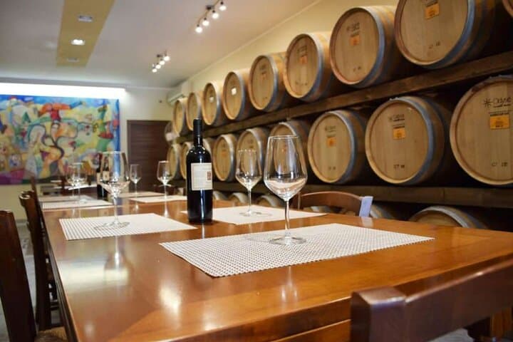 Negroamaro Wine Vineyard Tour and Tasting Experience
