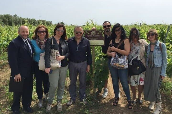 Negroamaro Wine Vineyard Tour and Tasting Experience