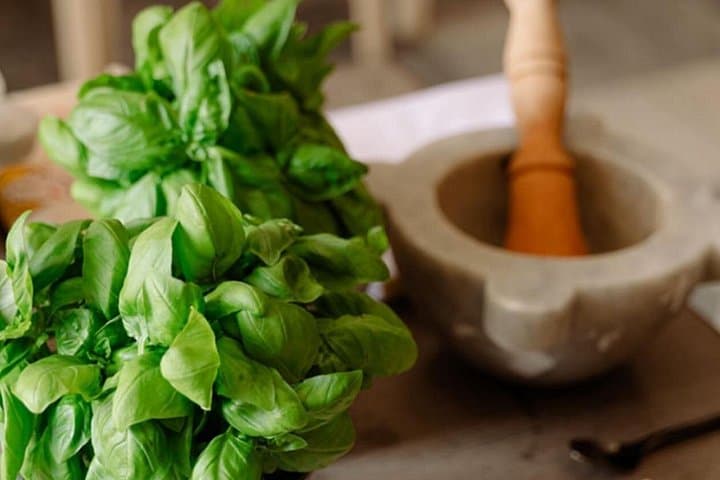 Santa Margherita Food Tour : flavours of the Ligurian Riviera