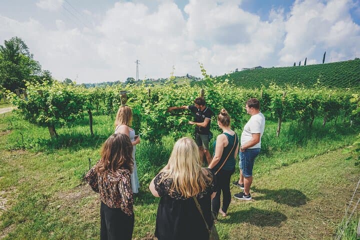 From Venice: Prosecco Wine Region Tour with 2 Tastings