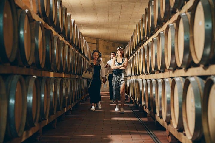 Chianti Wine Tour for Small Groups: 3 Family Wineries & Lunch