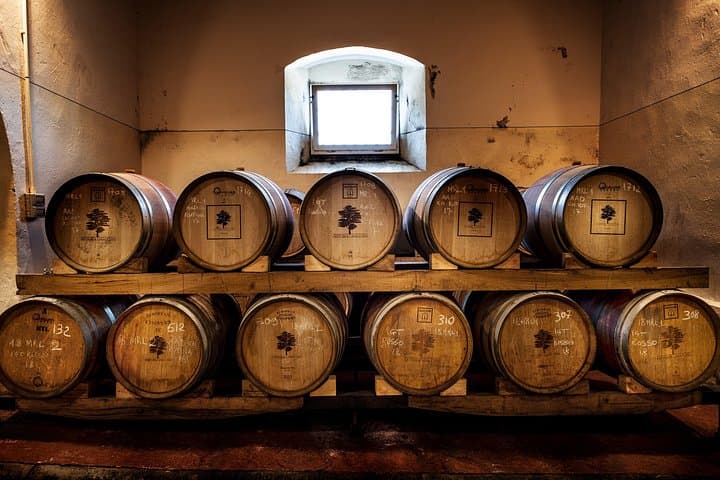 Wine and Olive Oil Full Tour in Chianti Hills