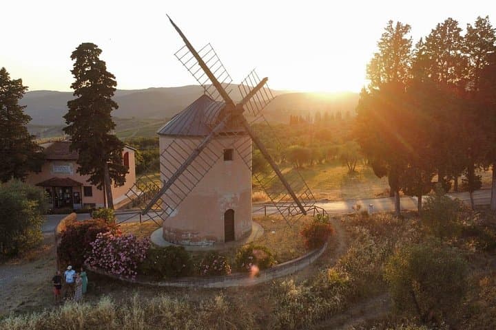 Wine and Olive Oil Full Tour in Chianti Hills