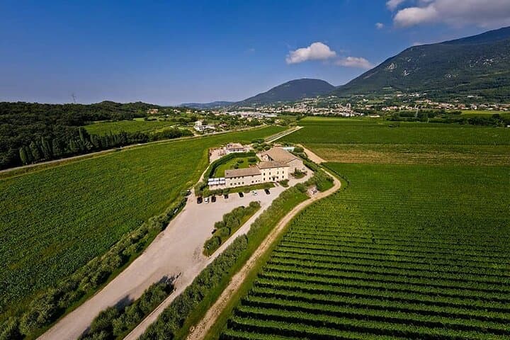 Vineyard tour with tasting of 4 wines on Garda Hills