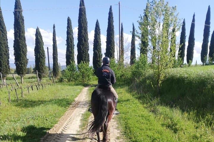 Tuscany Horseback Riding Experience in Buonconvento