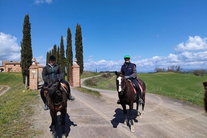 Tuscany Horseback Riding Experience in Buonconvento