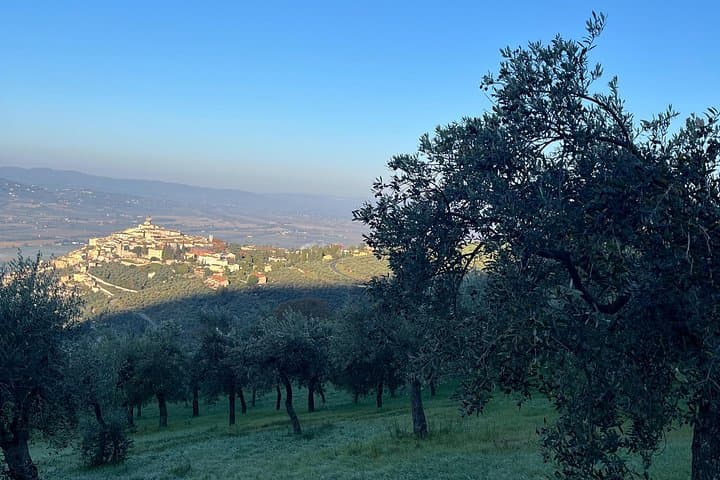 Trevi from our olive groves