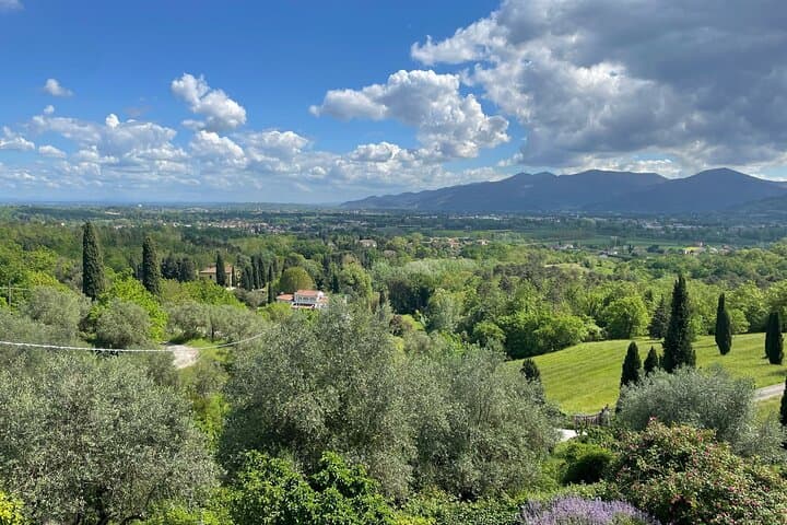 Private Concert in the Artist's House on the Hills of Lucca