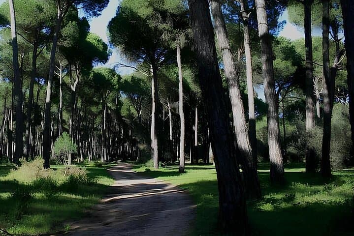 Horseback Riding Experience in Castel Fusano near Rome