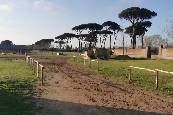 Horseback Riding Experience in Castel Fusano near Rome