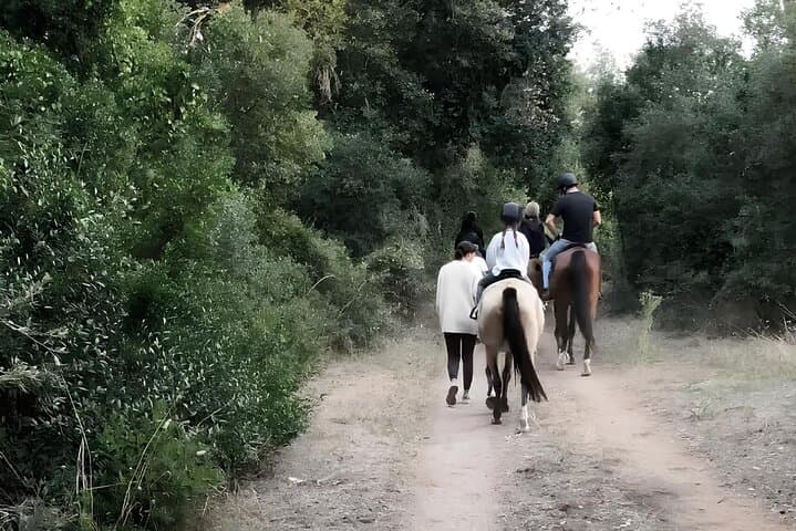Horseback Riding Experience in Castel Fusano near Rome