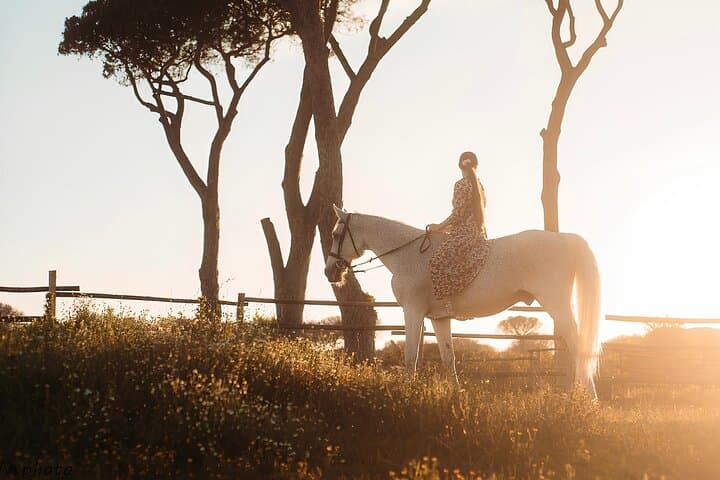 Horseback Riding Experience in Castel Fusano near Rome