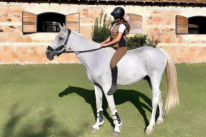 Horseback Riding Experience in Castel Fusano near Rome