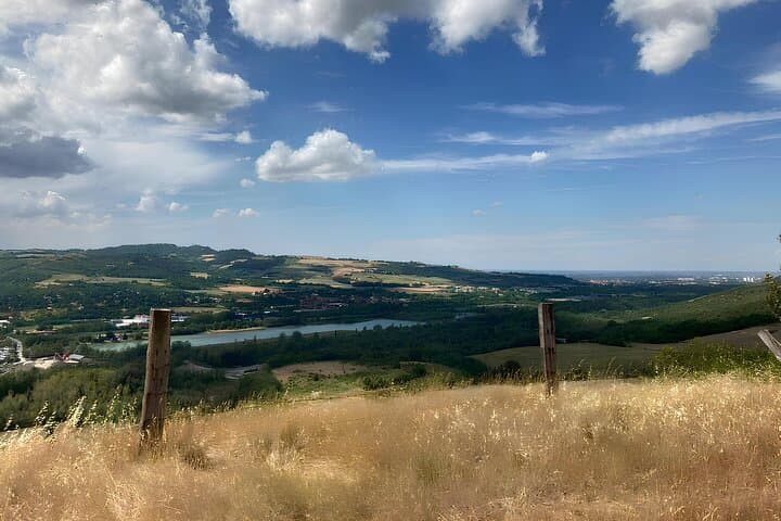 Horseback Riding Experience in the Bolognese Hills