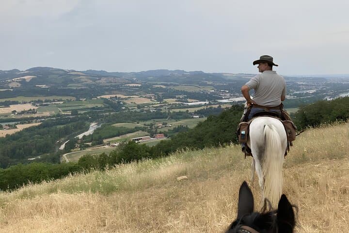 Horseback Riding Experience in the Bolognese Hills