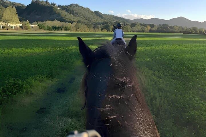 Horseback Riding Experience in the Bolognese Hills