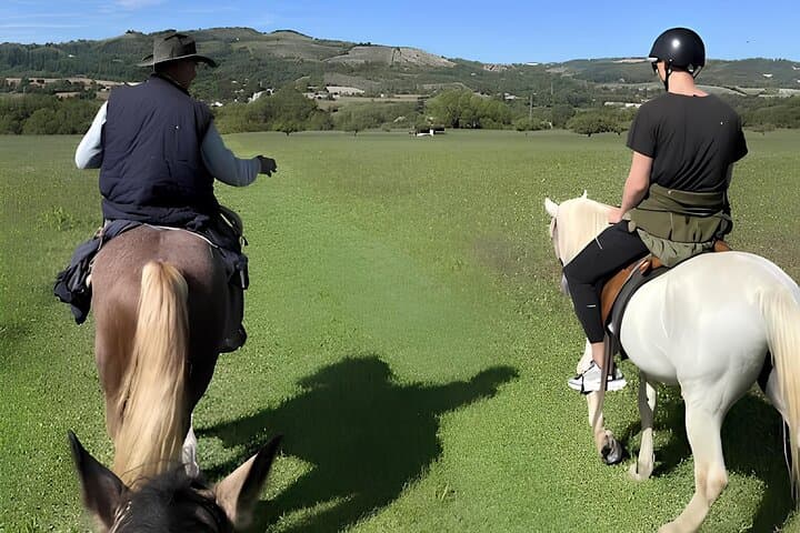 Horseback Riding Experience in the Bolognese Hills