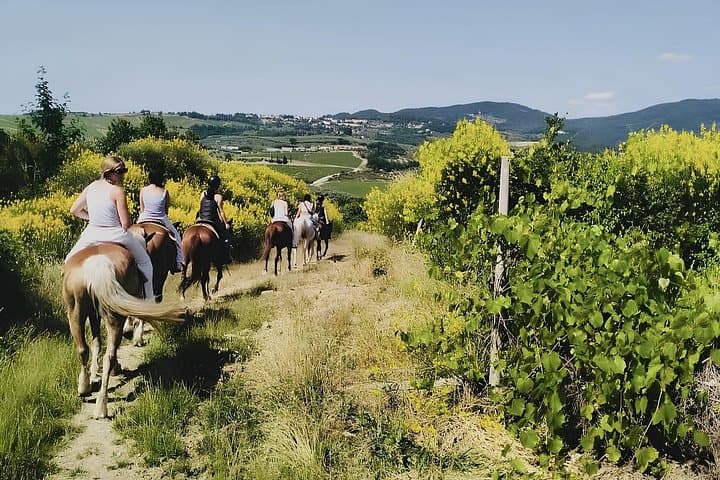 Scenic Tuscan Horseback Ride with Aperitif near Florence