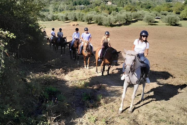 Scenic Tuscan Horseback Ride with Aperitif near Florence