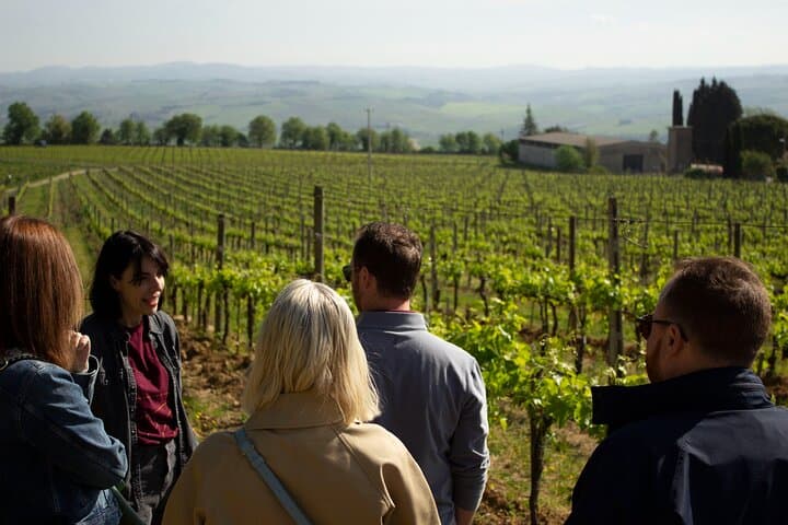 Rome to Tuscany, Brunello and Val d’Orcia Wine Tour (train+van)