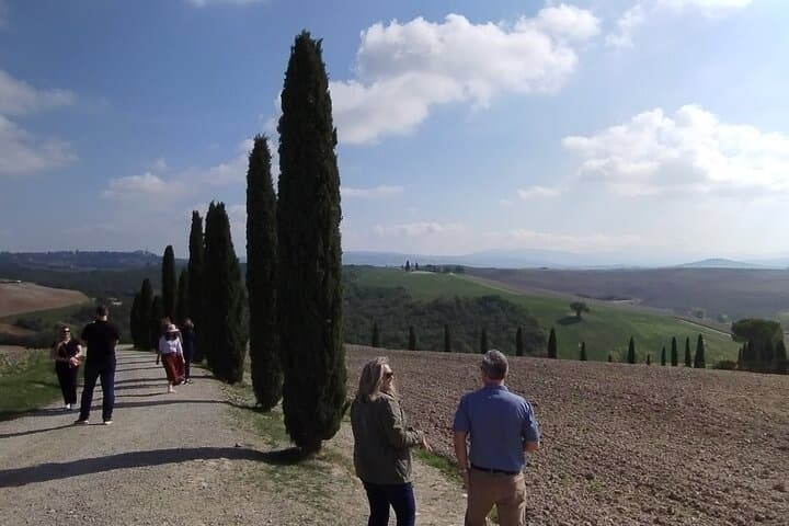 Rome to Tuscany, Brunello and Val d’Orcia Wine Tour (train+van)