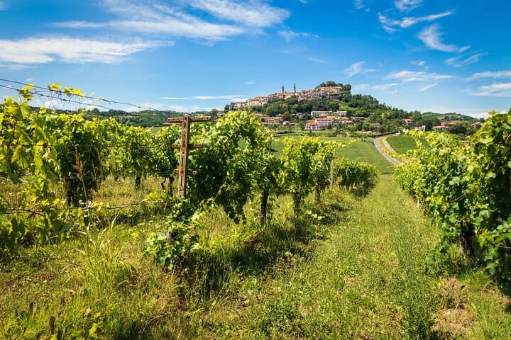Pisa Siena San Gimignano and Chianti Flavors from Florence