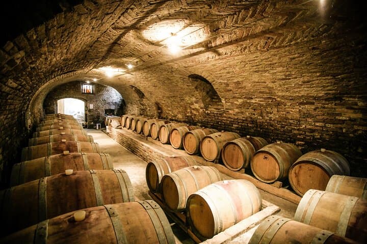 Pisa Siena San Gimignano and Chianti Flavors from Florence