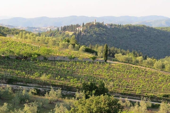 Highlights of Tuscany Siena, San Gimignano, Chianti and Pisa