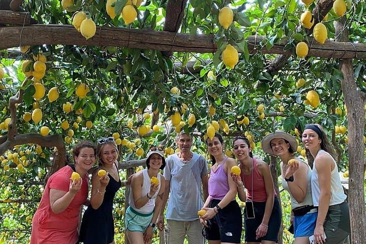 Amalfi Lemon Grove Vespa Tour Scenic Ride and Local Tasting