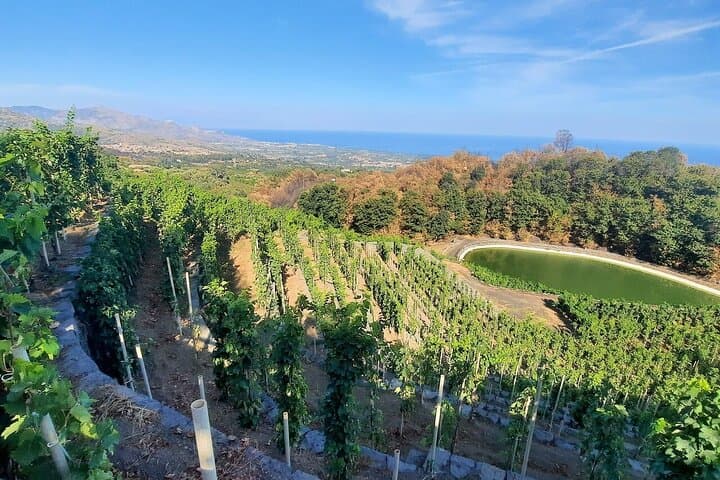 "Live Your Sicilian Dream" 4-Day Private Tours from Taormina”