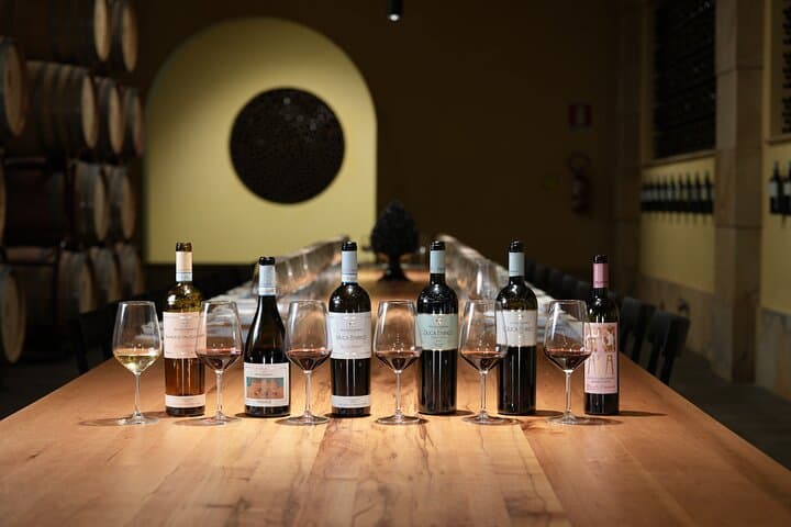 Guided tour and tasting at Duca di Salaparuta Winery
